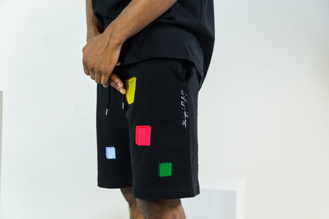 Embroidered Reality Block Shorts - Ntuitive 